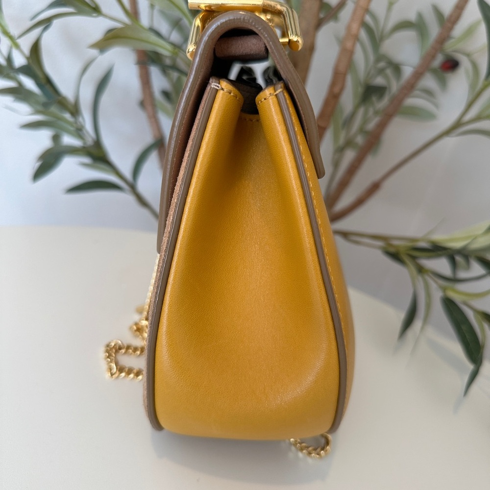Suede Smooth Calfskin Mini Drew Shoulder Bag Wet Sunflower - Picture 4 of 10